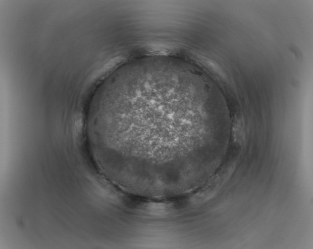 X0000113280314200909141231