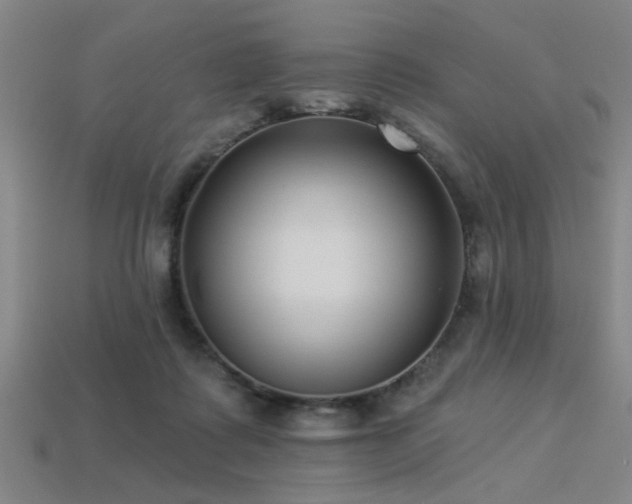 X0000113280315200909141231