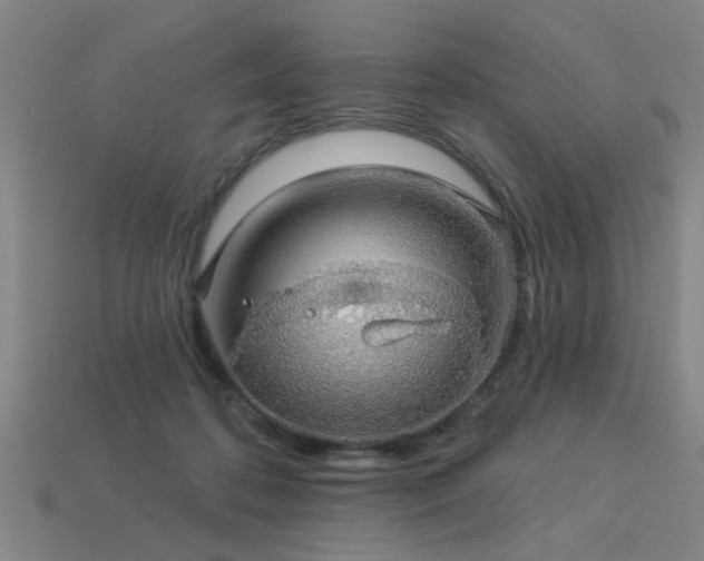 X0000113280316200909141231