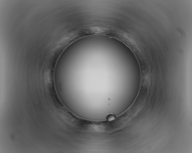 X0000113280317200909141231