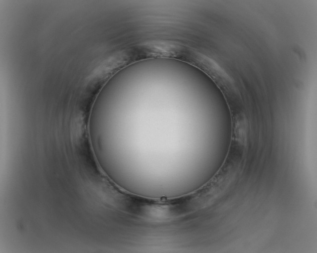 X0000113280318200909141231