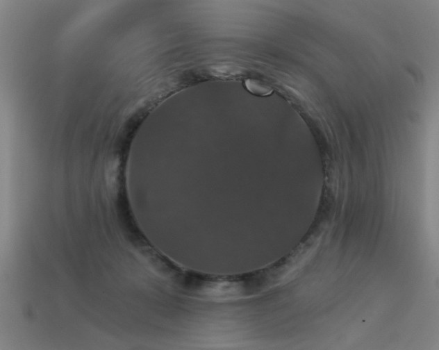 X0000113280319200909141231