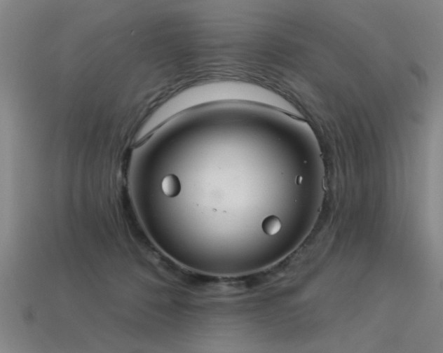 X0000113280320200909141231