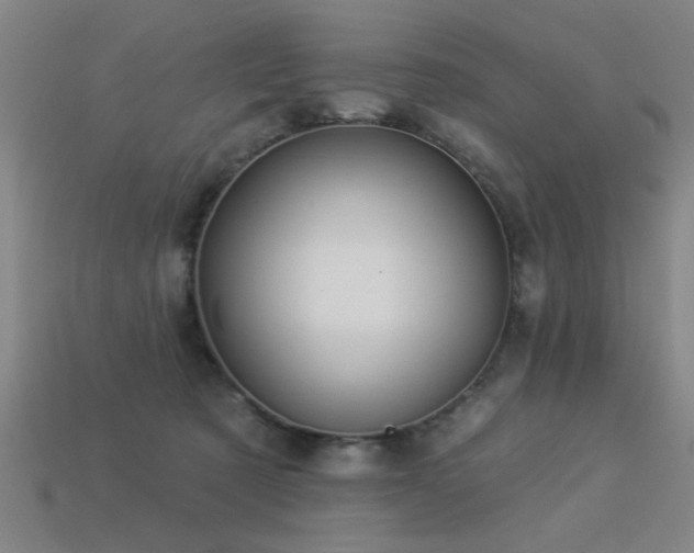 X0000113280321200909141231