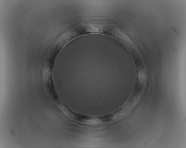 X0000113280322200909141231