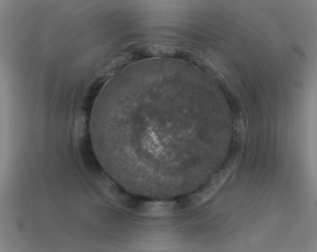 X0000113280323200909141231