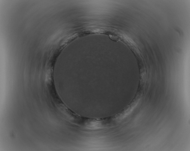 X0000113280325200909141230