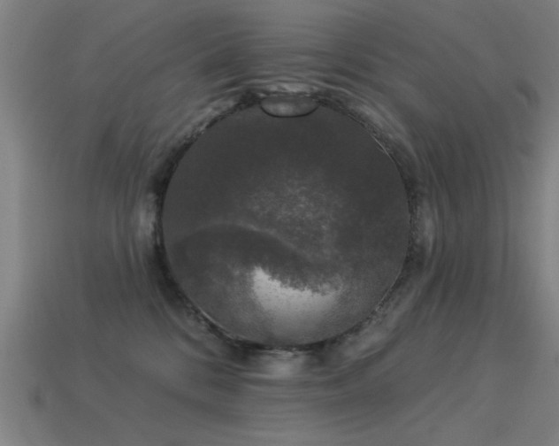 X0000113280328200909141230