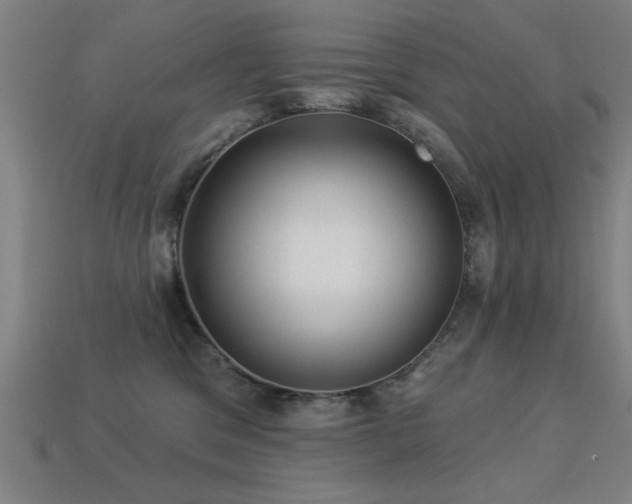 X0000113280329200909141230