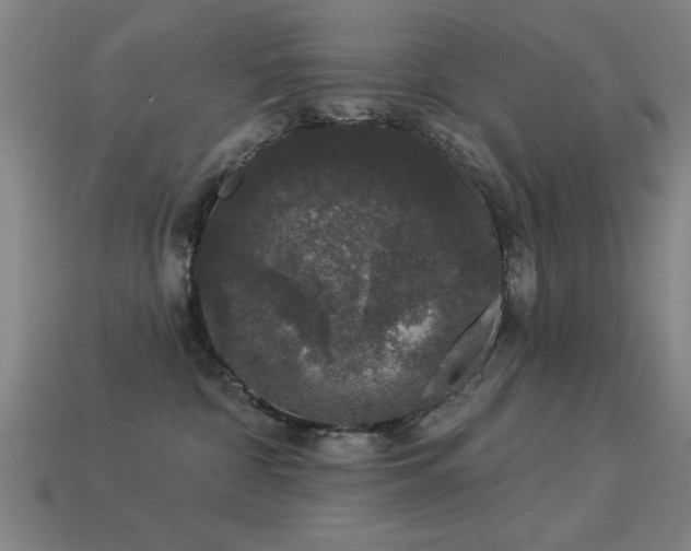 X0000113280332200909141230