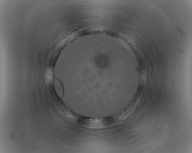 X0000113280335200909141230