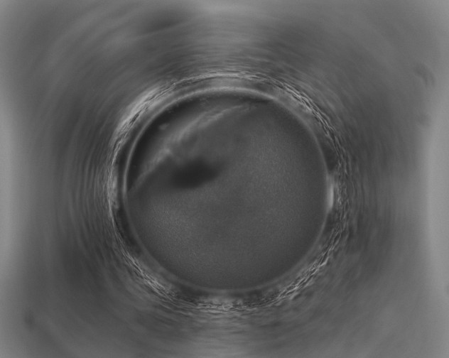 X0000113280339200909141230