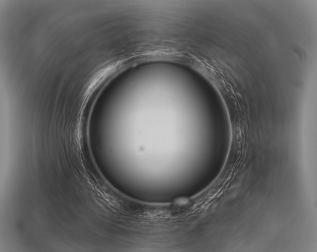 X0000113280340200909141230