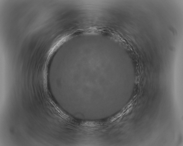 X0000113280341200909141230