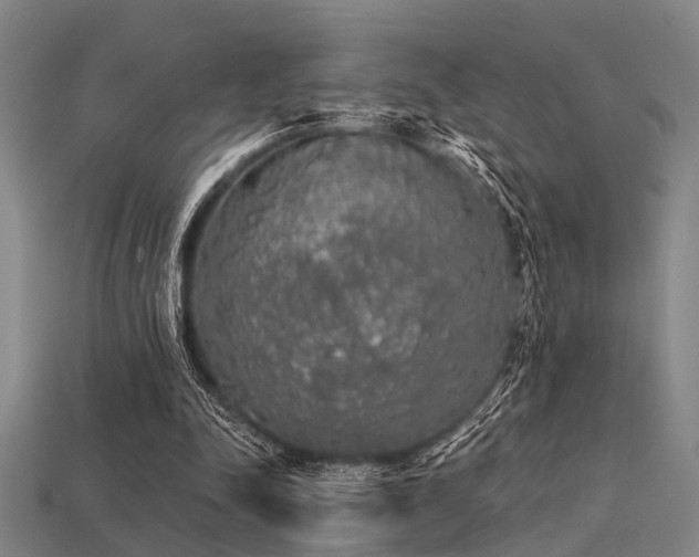 X0000113280342200909141230