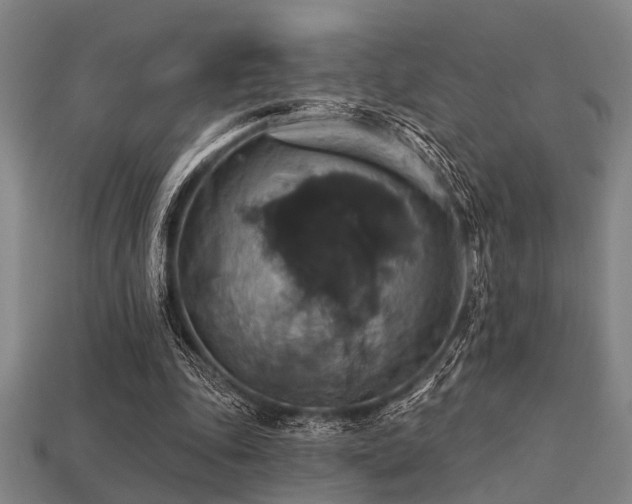 X0000113280343200909141230