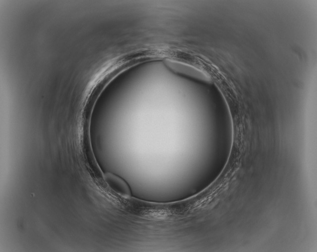 X0000113280344200909141230