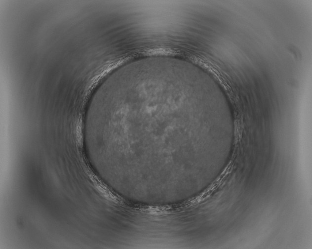 X0000113280345200909141230