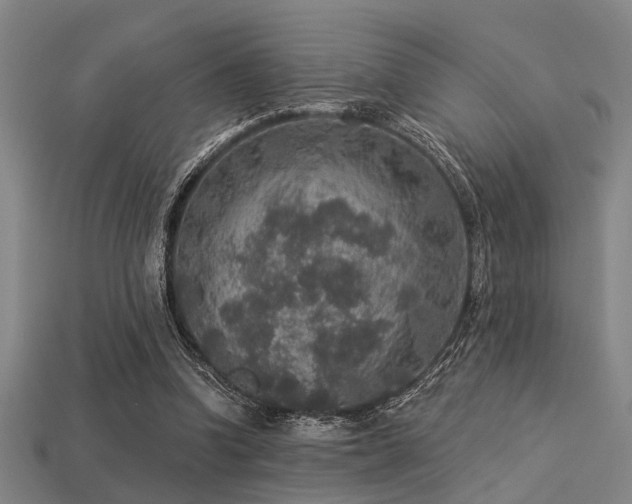 X0000113280346200909141230