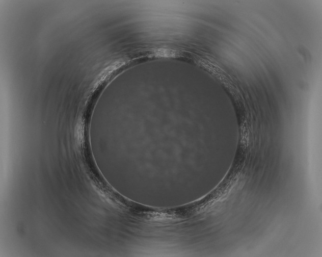 X0000113280347200909141230