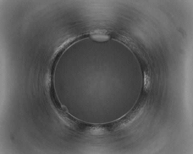 X0000113280348200909141230