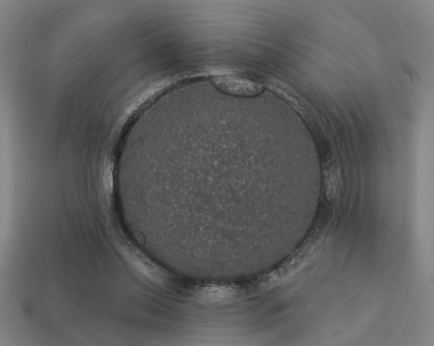 X0000113280350200909141230