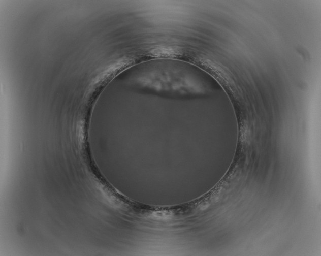 X0000113280353200909141230