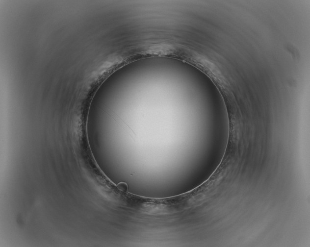 X0000113280354200909141230