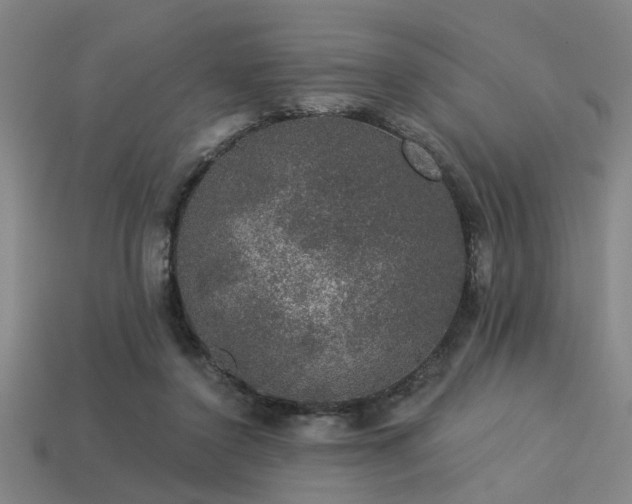 X0000113280356200909141230