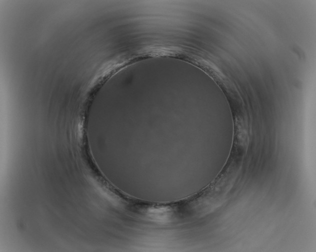 X0000113280357200909141230