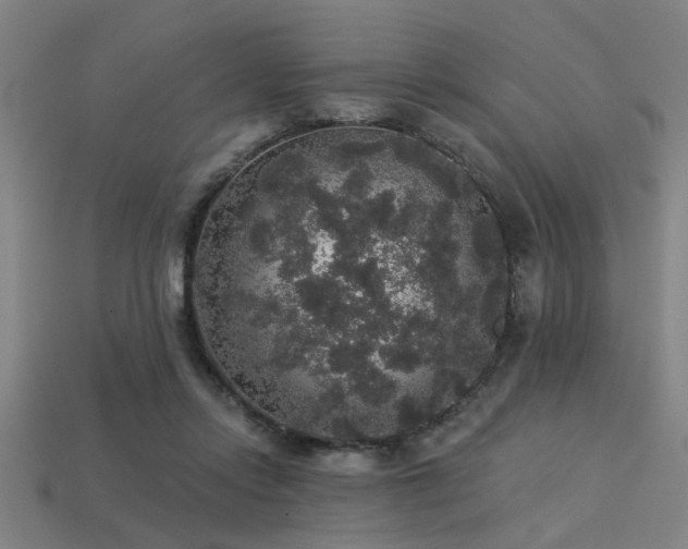 X0000113280358200909141230