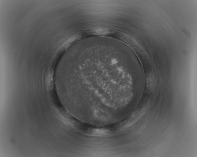 X0000113280360200909141230