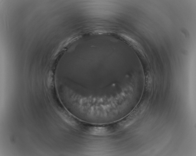 X0000113280361200909141230