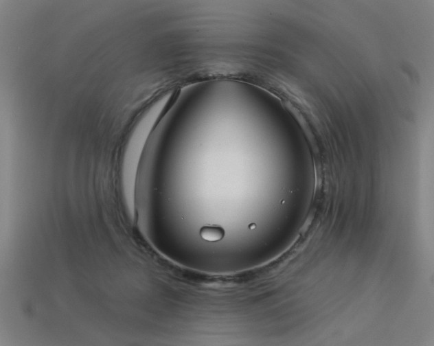 X0000113280362200909141230