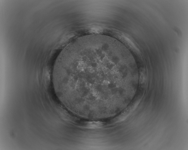 X0000113280363200909141230