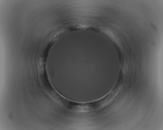 X0000113280366200909141230