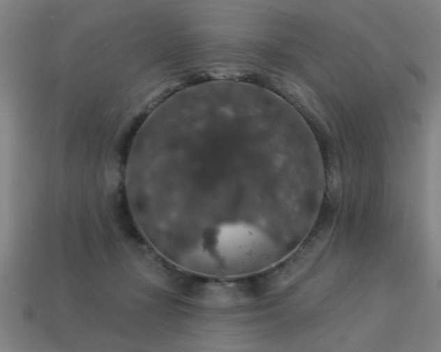 X0000113280367200909141230