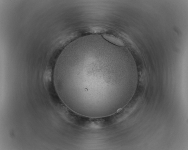 X0000113280368200909141230