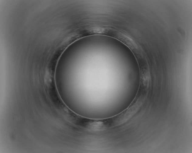 X0000113280374200909141230