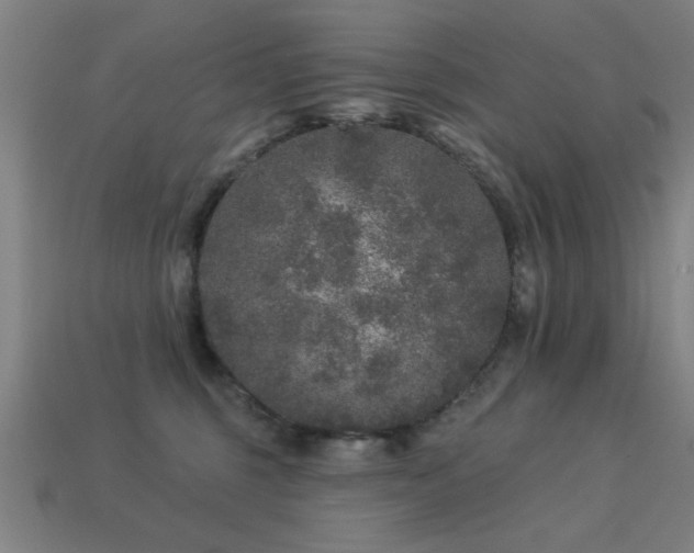 X0000113280375200909141230