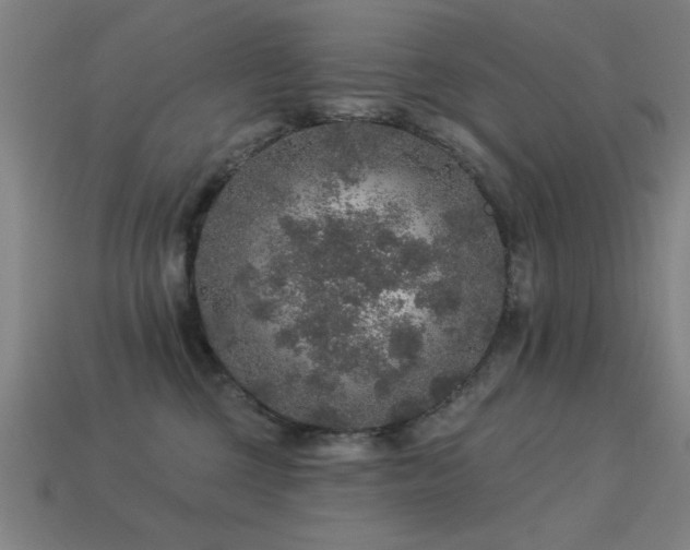 X0000113280377200909141230