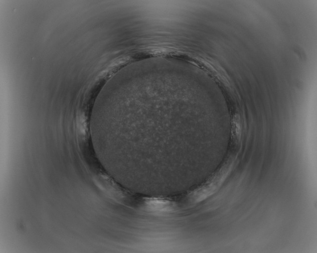 X0000113280380200909141230