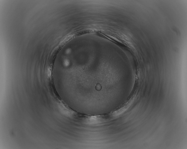 X0000113280382200909141230