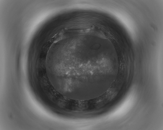 X0000113280383200909141230