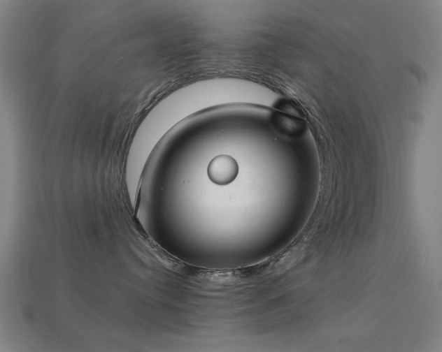 X0000113280384200909141230