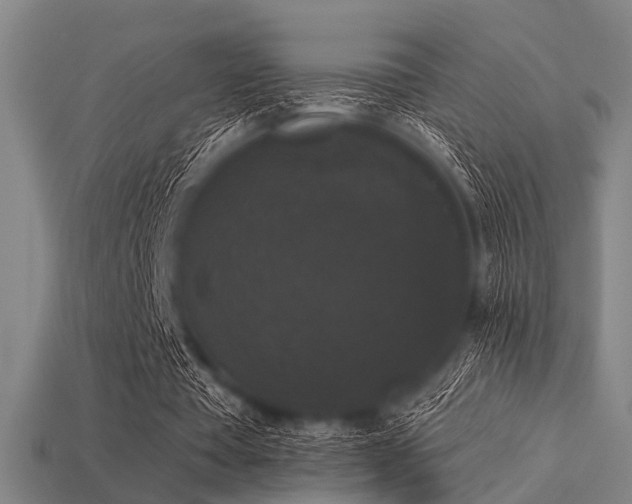 X0000113280385200909141230