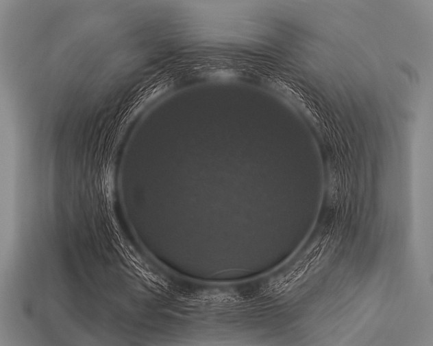 X0000113280386200909141230