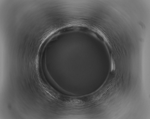 X0000113280387200909141230