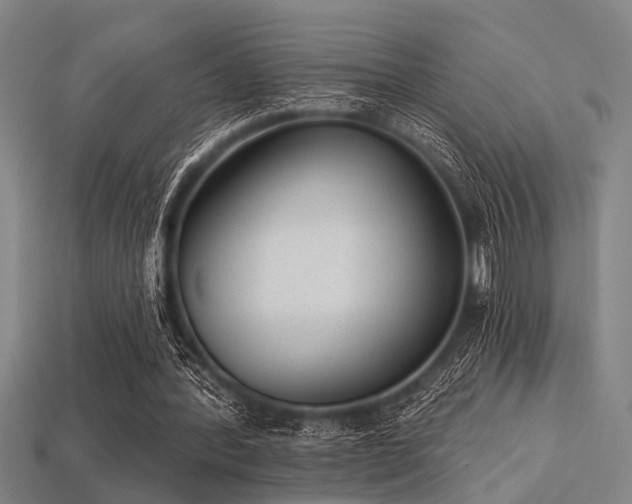 X0000113280388200909141230