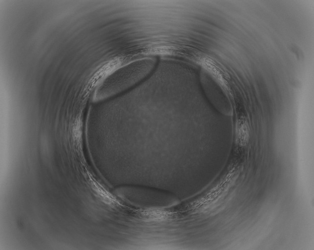 X0000113280389200909141230